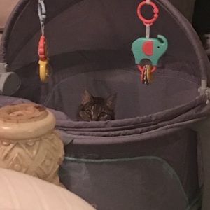 Meet your Posher, Jessi